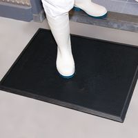 Alfombra desinfectante para entornos agroalimentarios - Notrax