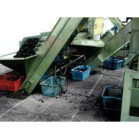industria pesquera