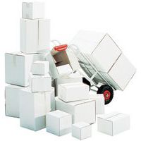 Caja para envíos de cartón blanco - Corrugado simple - De150 a 300 mm de longitud