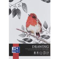 Bloc de dibujo Drawing Art encolado A4 de 40 p y 160 g - Oxford