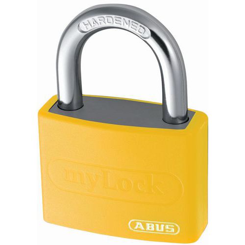 Candado personalizable serie T65 - Llaves distintas - 2 llaves