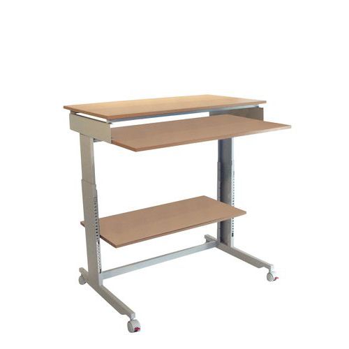 Puesto informático Twin 6810