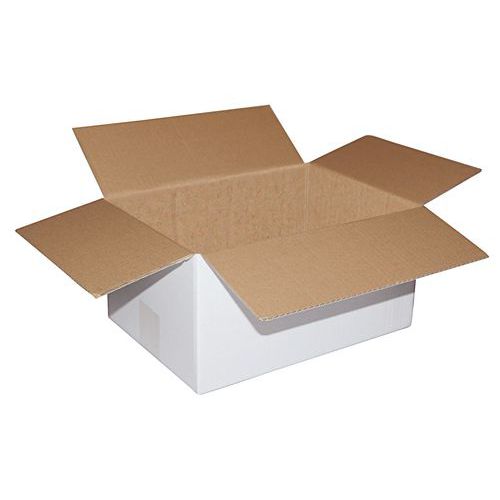 Caja para envíos de cartón blanco - Corrugado simple - De150 a 300 mm de longitud