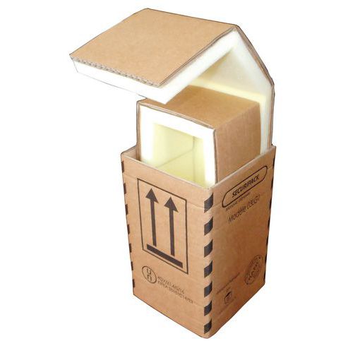Estuche de cartón para envíos Sécuripack - Espuma interior