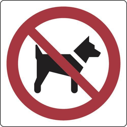 Panel de prohibición - Acceso prohibido a perros - Aluminio