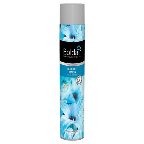 Aerosol con perfume Boldair - 750 ml