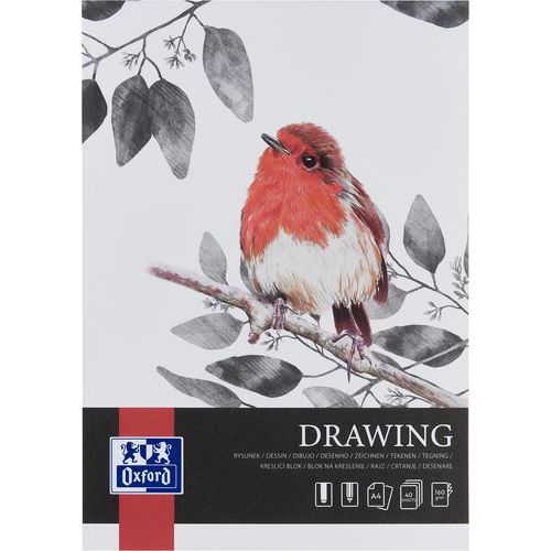 Bloc de dibujo Drawing Art encolado A4 de 40 p y 160 g - Oxford