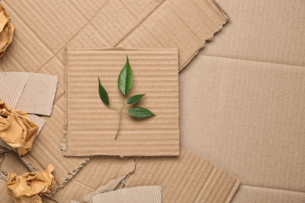 Gestión de residuos: los retos de los envases