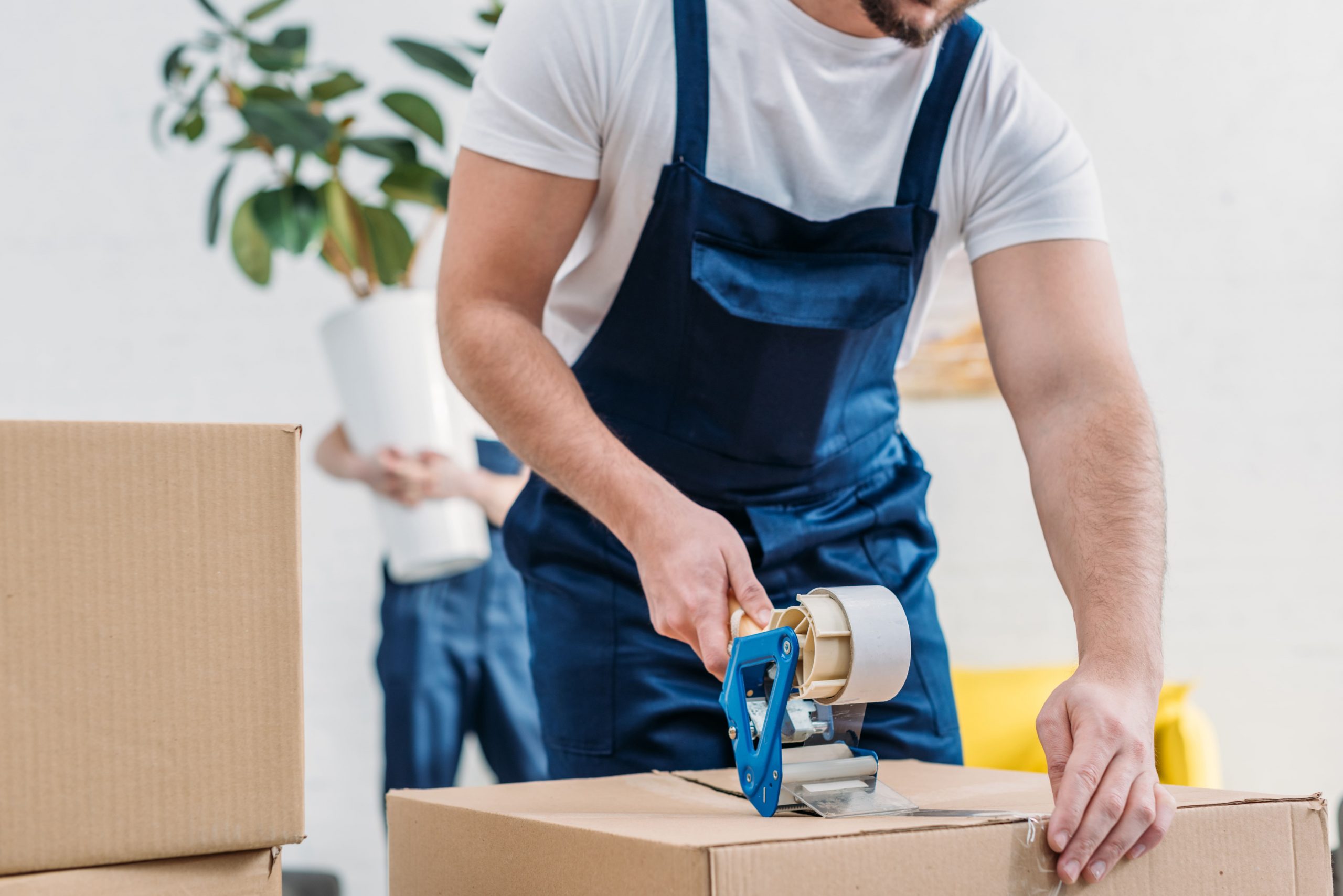 Guía de compra: Embala, protege y envía tus productos con nuestras cajas de almacenamiento de cartón