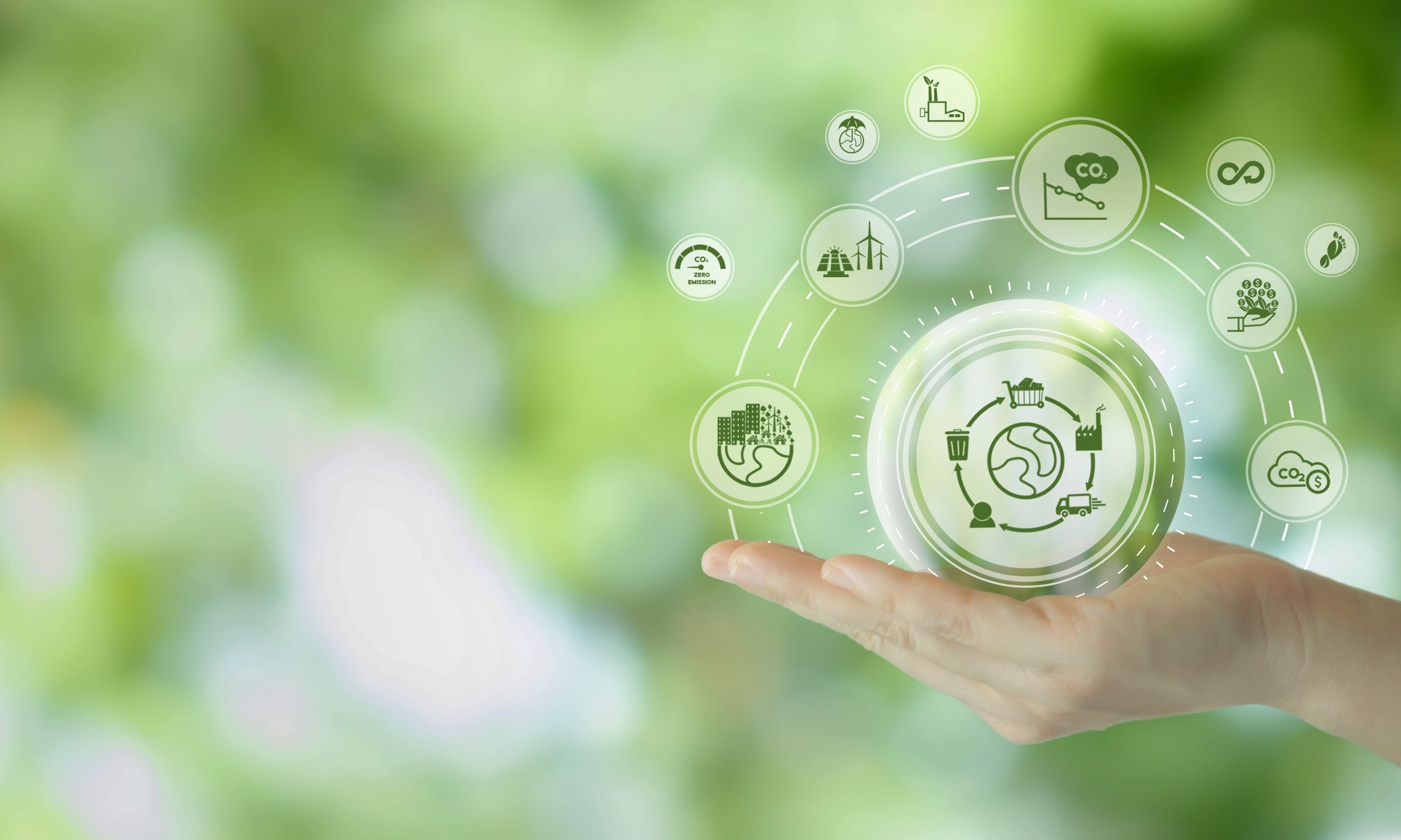 ¿Cuáles son las normas medioambientales que deben seguir las empresas para reducir el impacto ecológico?