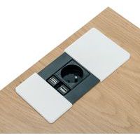 Obturador de alimentación Tower 1 toma 220 V + 2 USB blanco
