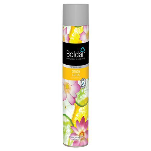 Aerosol con perfume Boldair 750 ml Manutan.es