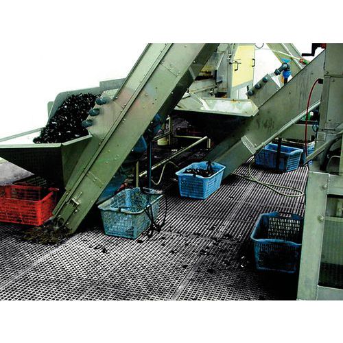 industria pesquera